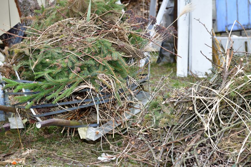 Yard Debris Removal in Ventura County, CA