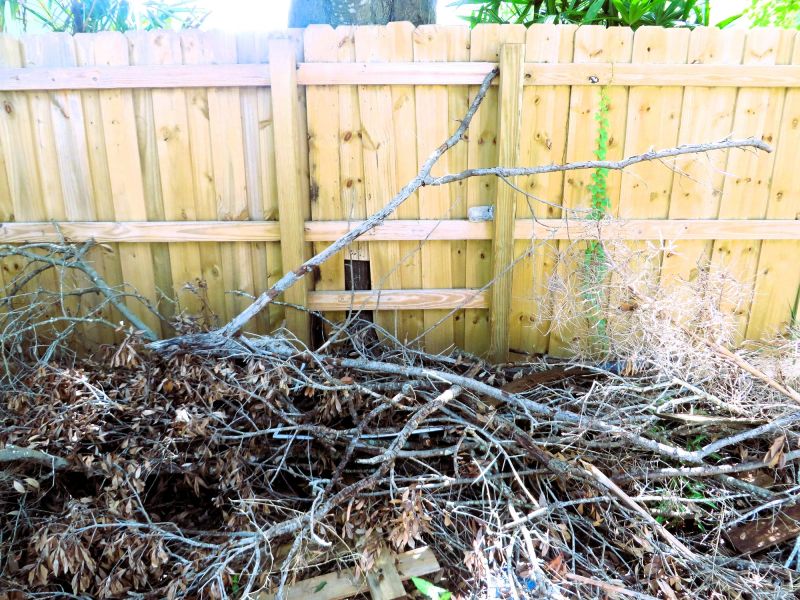 Brush Cleanup Service in Ventura County, CA