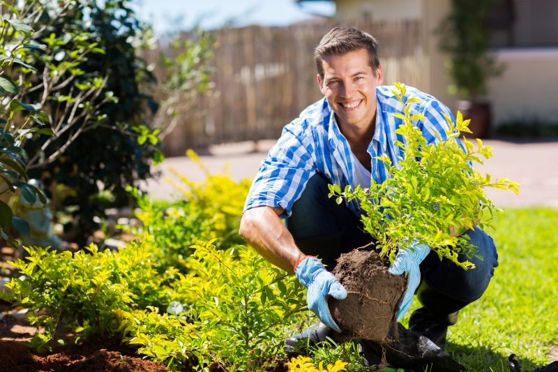 Ground Cover Planting in Honolulu, HI