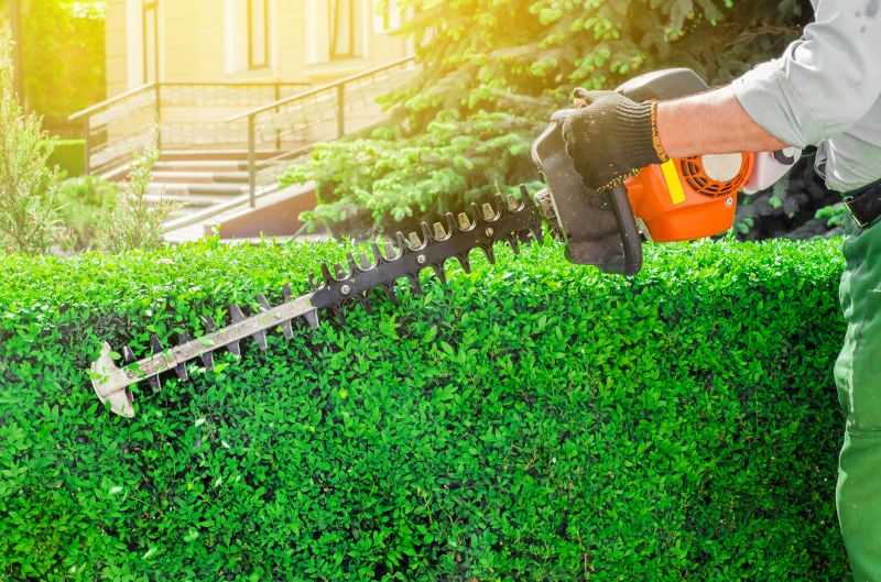 Hedge Trimming in Honolulu, HI