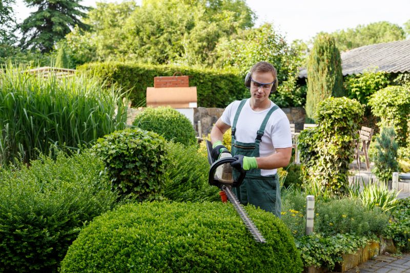 Landscape Trimming Service in Honolulu, HI