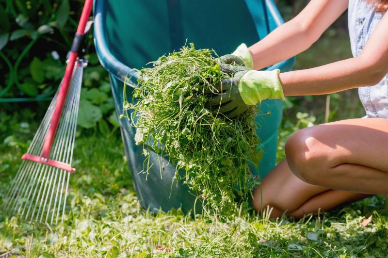 Landscaping Cleanup Service in Honolulu, HI