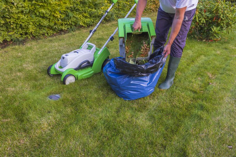 Lawn Cleanup Service in Ventura County, CA