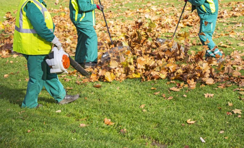 Leaf Removal in Honolulu, HI