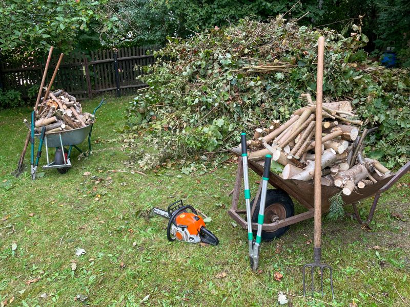 Limbs Removal in Ventura County, CA