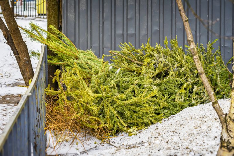 Pine Needles Removal in Honolulu, HI