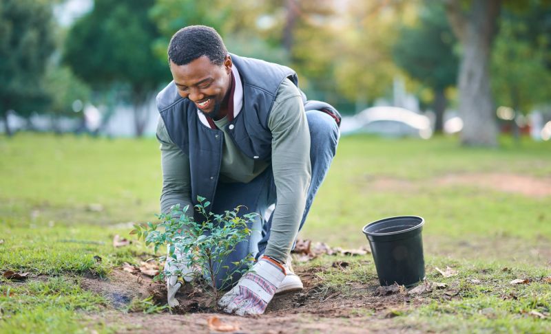Planting Service in Ventura County, CA