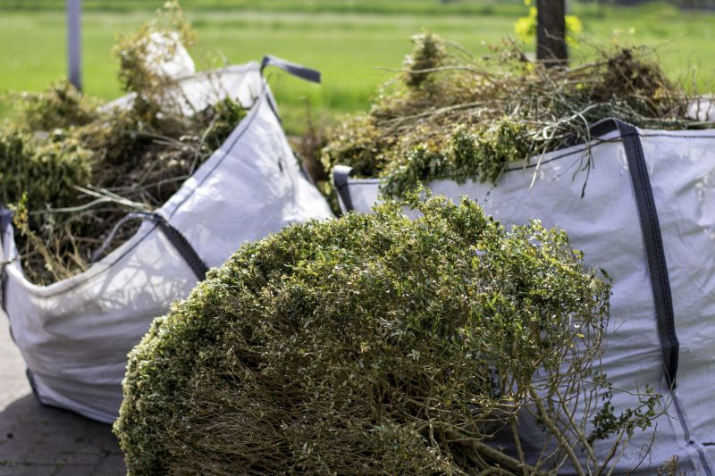 Shrubs Removal in Honolulu, HI
