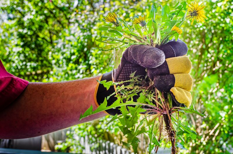 Effective Weed Pulling Services — cost of