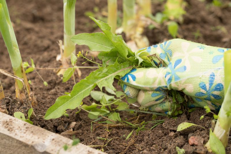Effective Weed Pulling Services — cost of