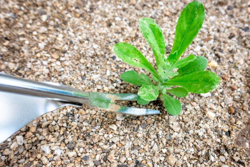 Weed Pulling Equipment